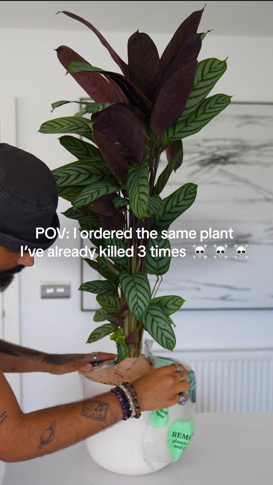 These are NO ordinary plants!