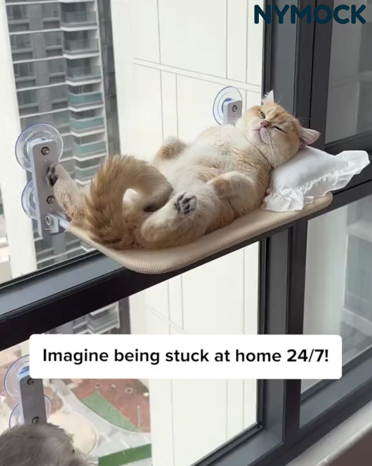 The Original Indoor Cat Hammock