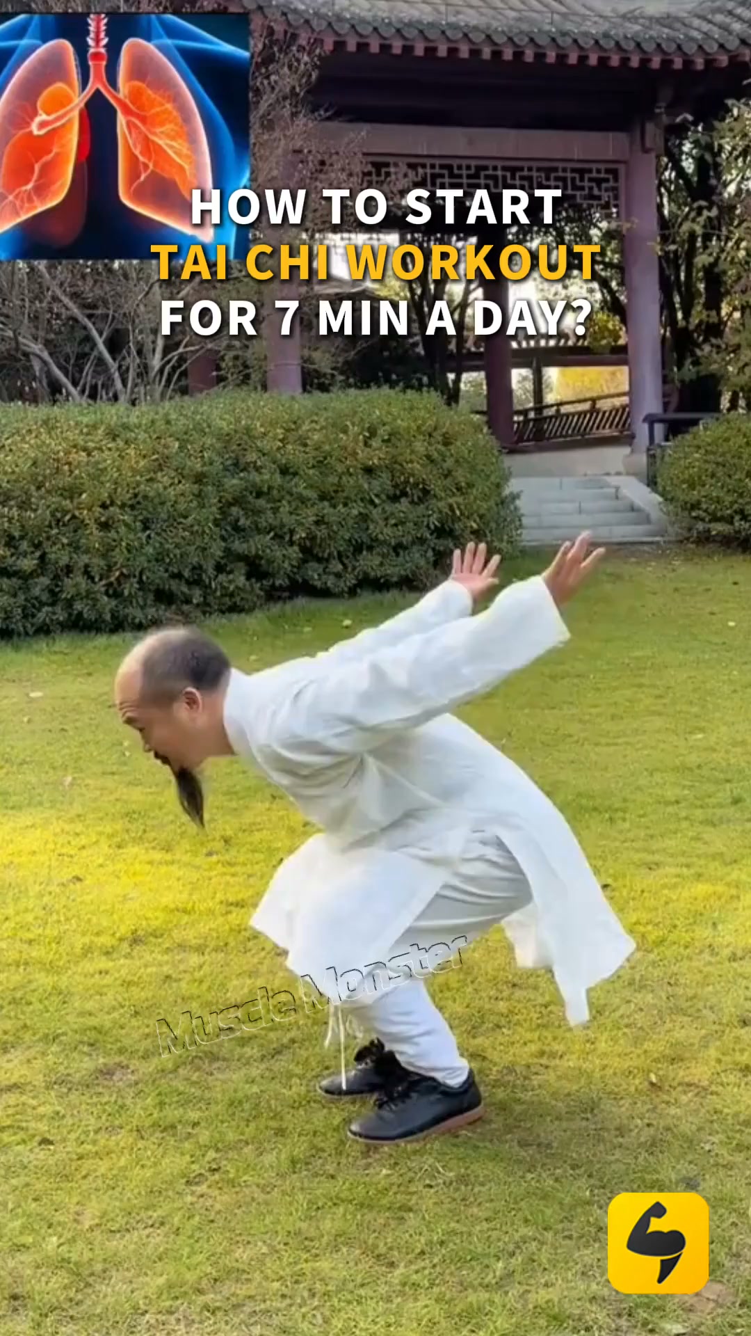 Start Training!