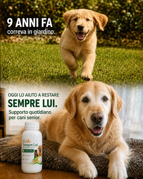 Aiutalo a restare Sempre Lui.