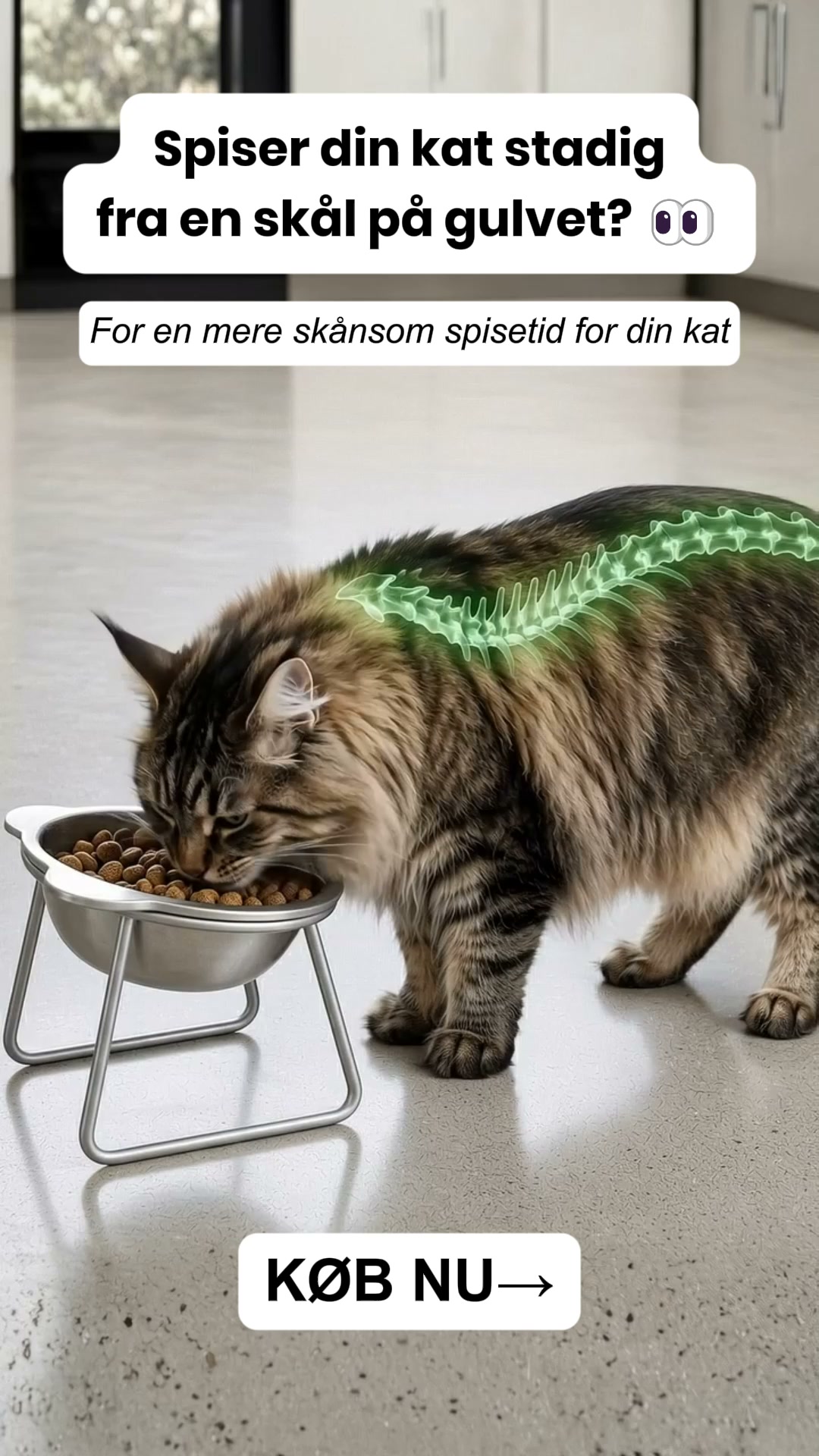 Smid plastikken ud. Opgrader spisetiden.