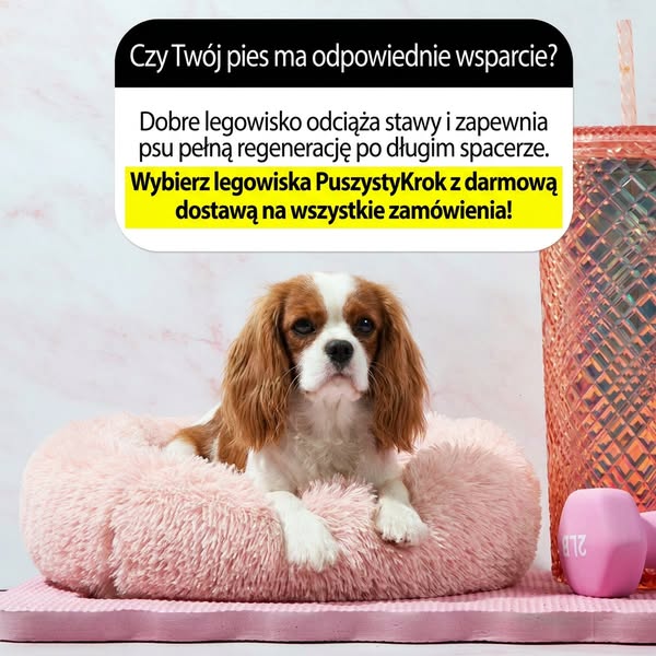 Zadbaj o komfort swojego psa