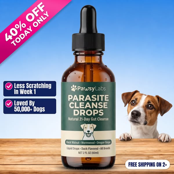 Heal Your Dog's Gut (NOW)