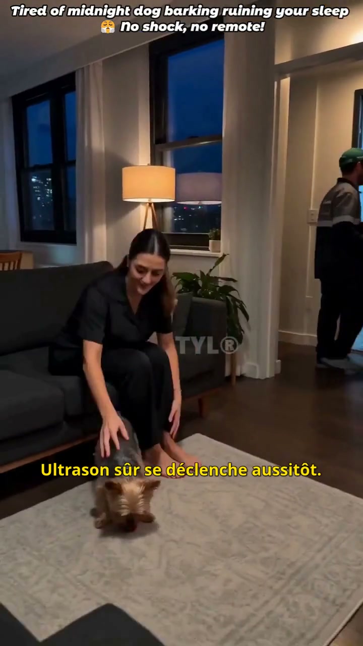 Pourquoi votre chien aboie-t-il ? Et comment l’aider en douceur ?