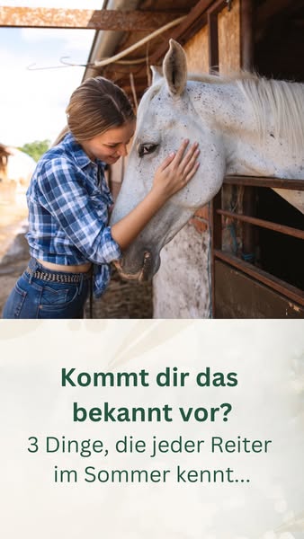 Typische Sommerprobleme beim Pferd erkennen