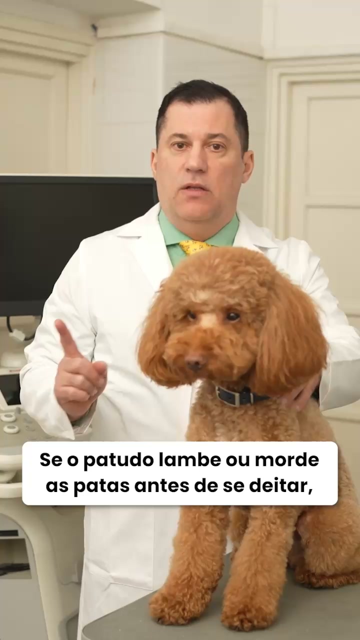 Probióticos SciPet para Cães