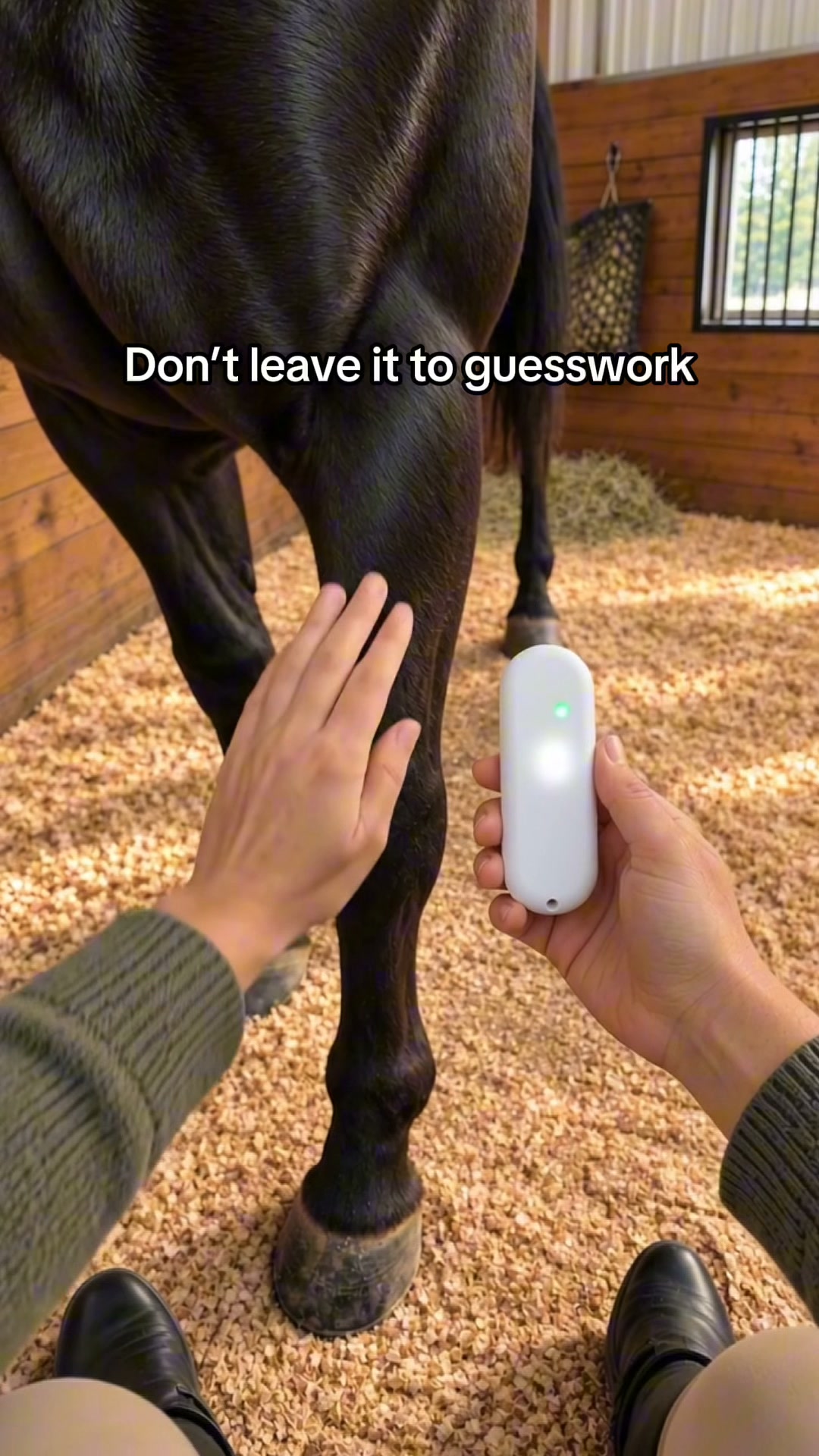 Chevaroo Instant Touch Horse Thermometer