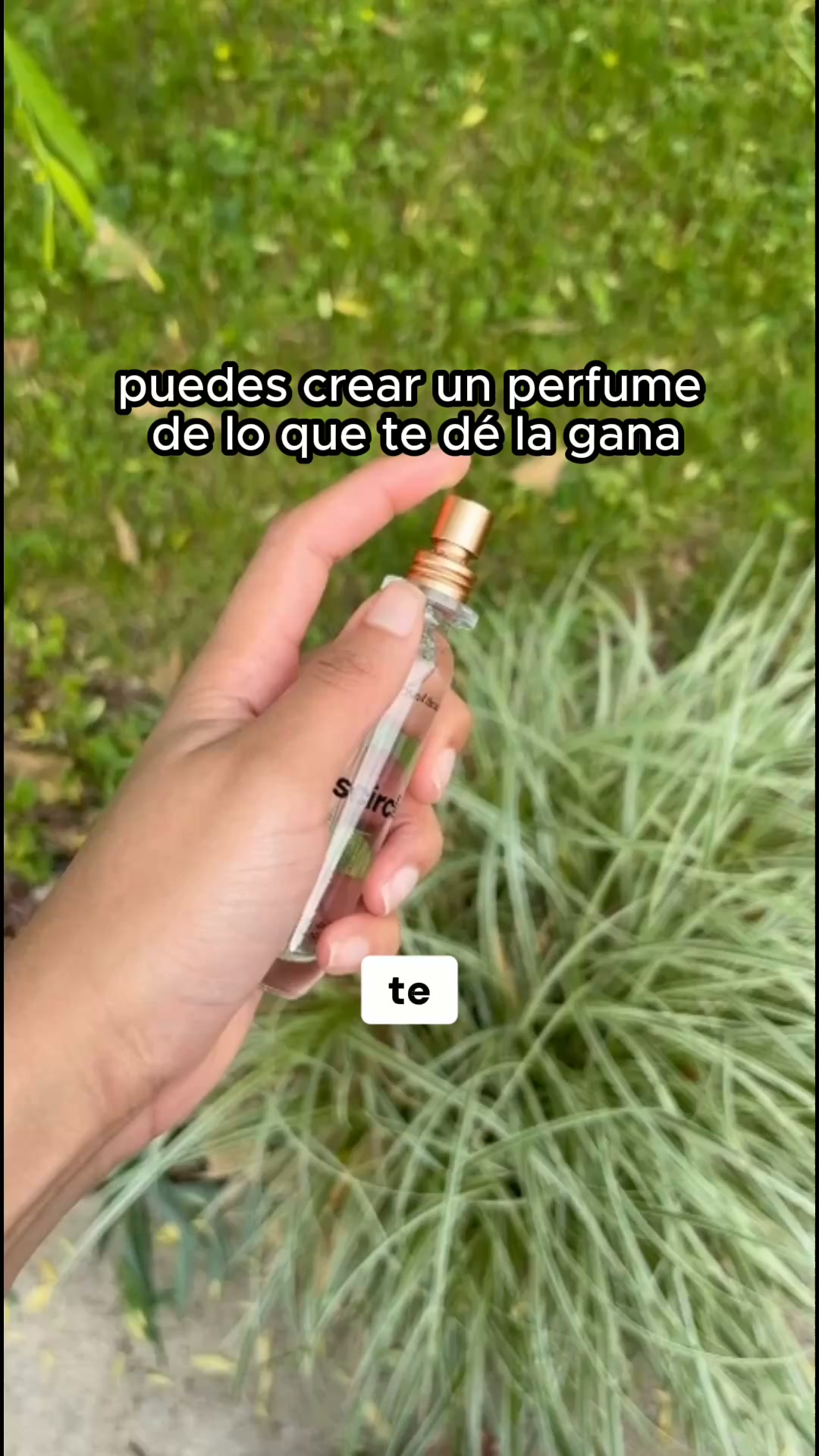 Crea tu propio perfume ahora