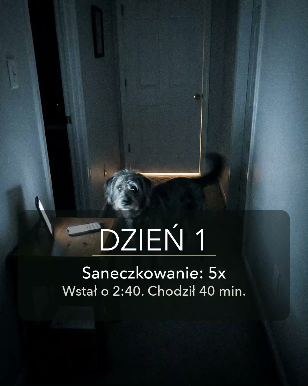 Zapisywałam to w notatkach