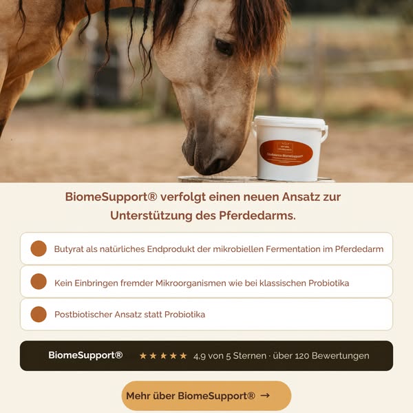 Jetzt den Unterschied entdecken