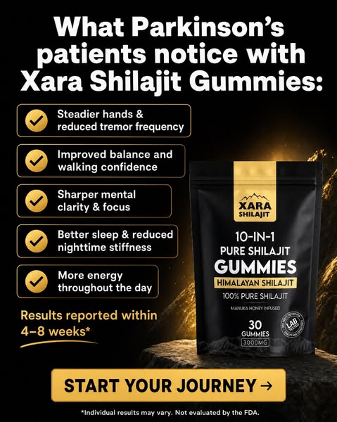 Your hands remember. Let Xara help the rest