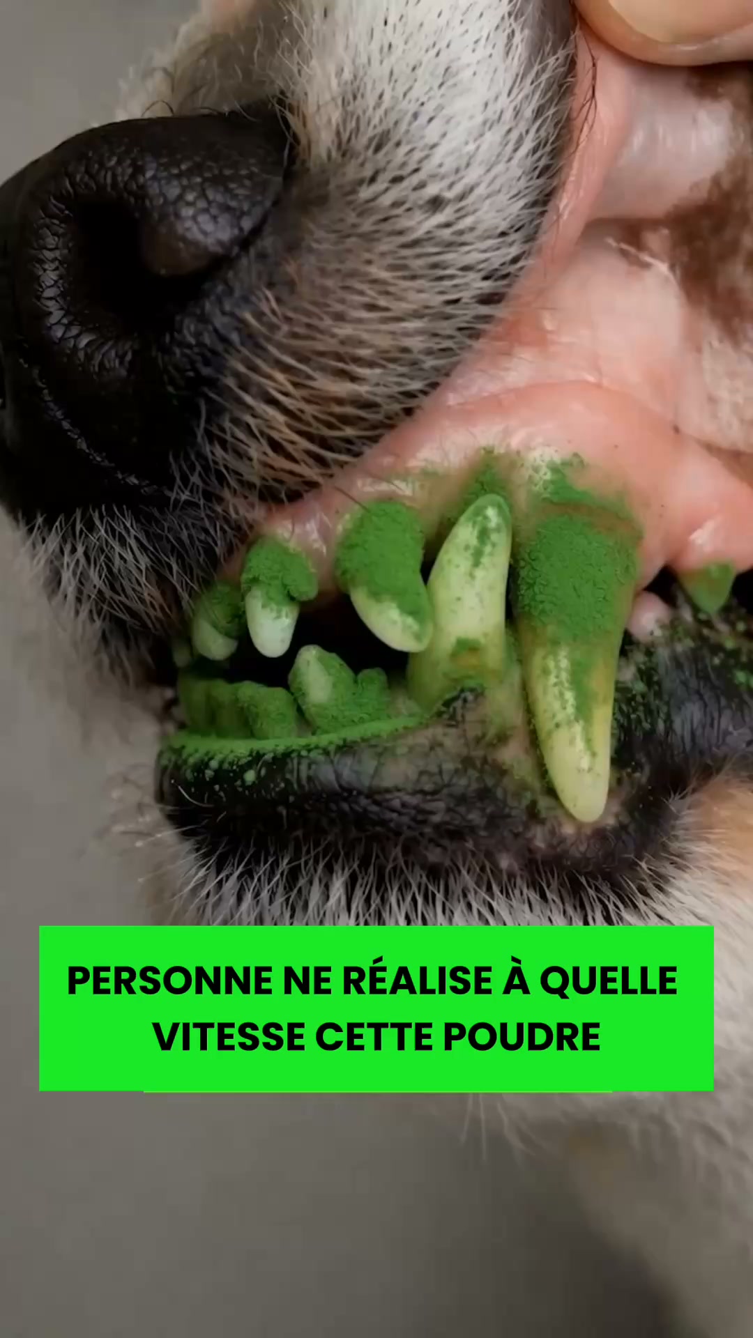 2 ACHETÉS = 1 OFFERT — Durée limitée