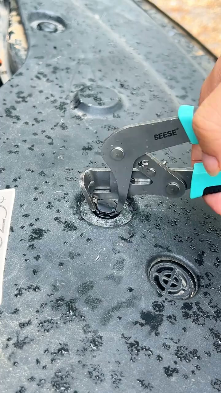 Delighteal
