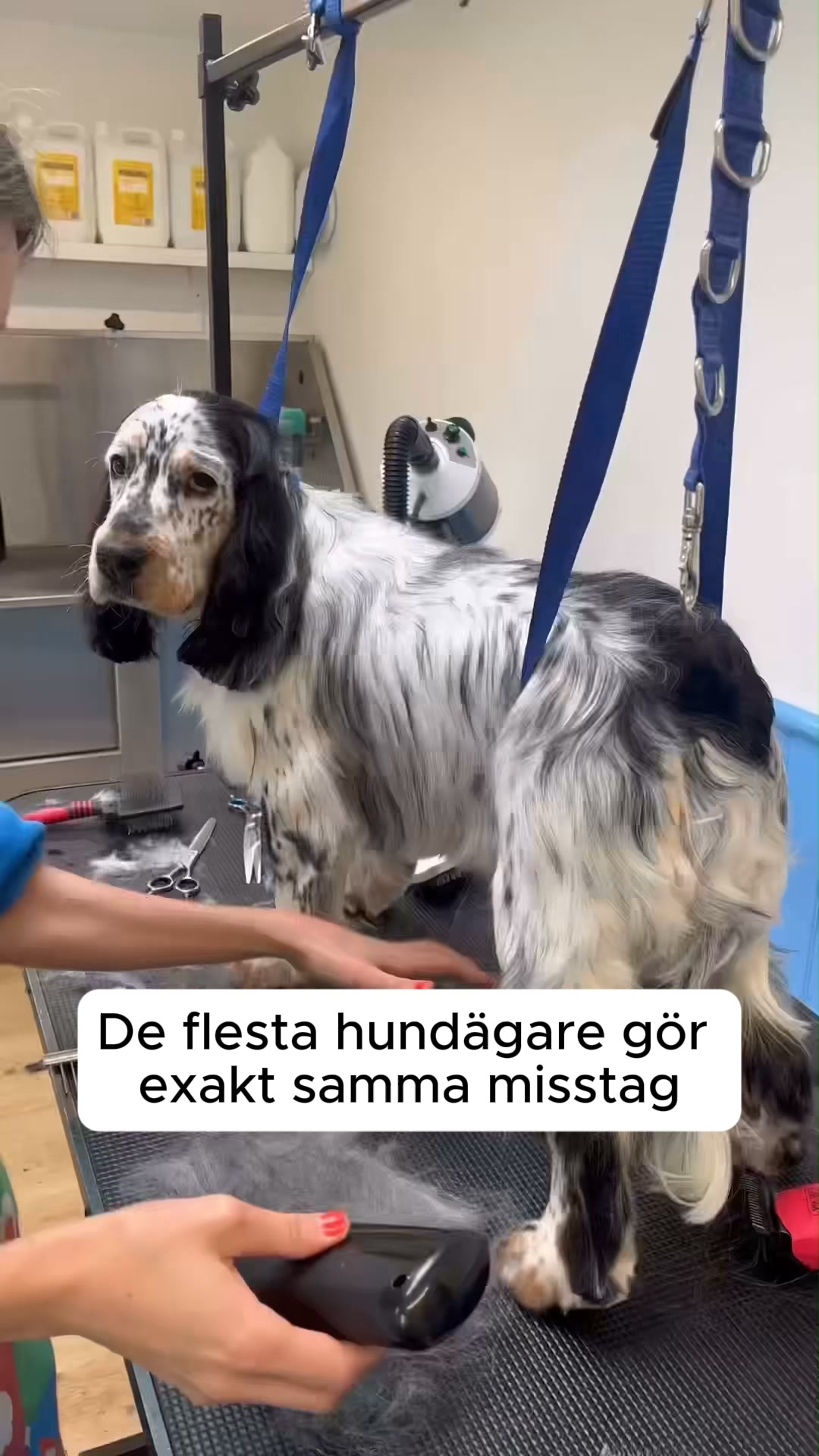50% REA + FRI FRAKT