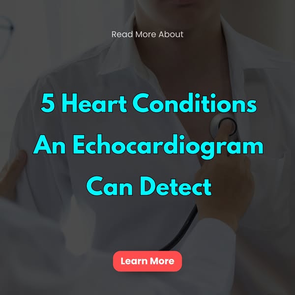 Understanding the Echocardiogram: A Heart Health Guide