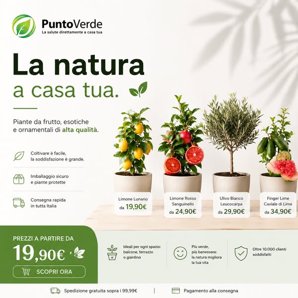 Anúncio de Punto Verde