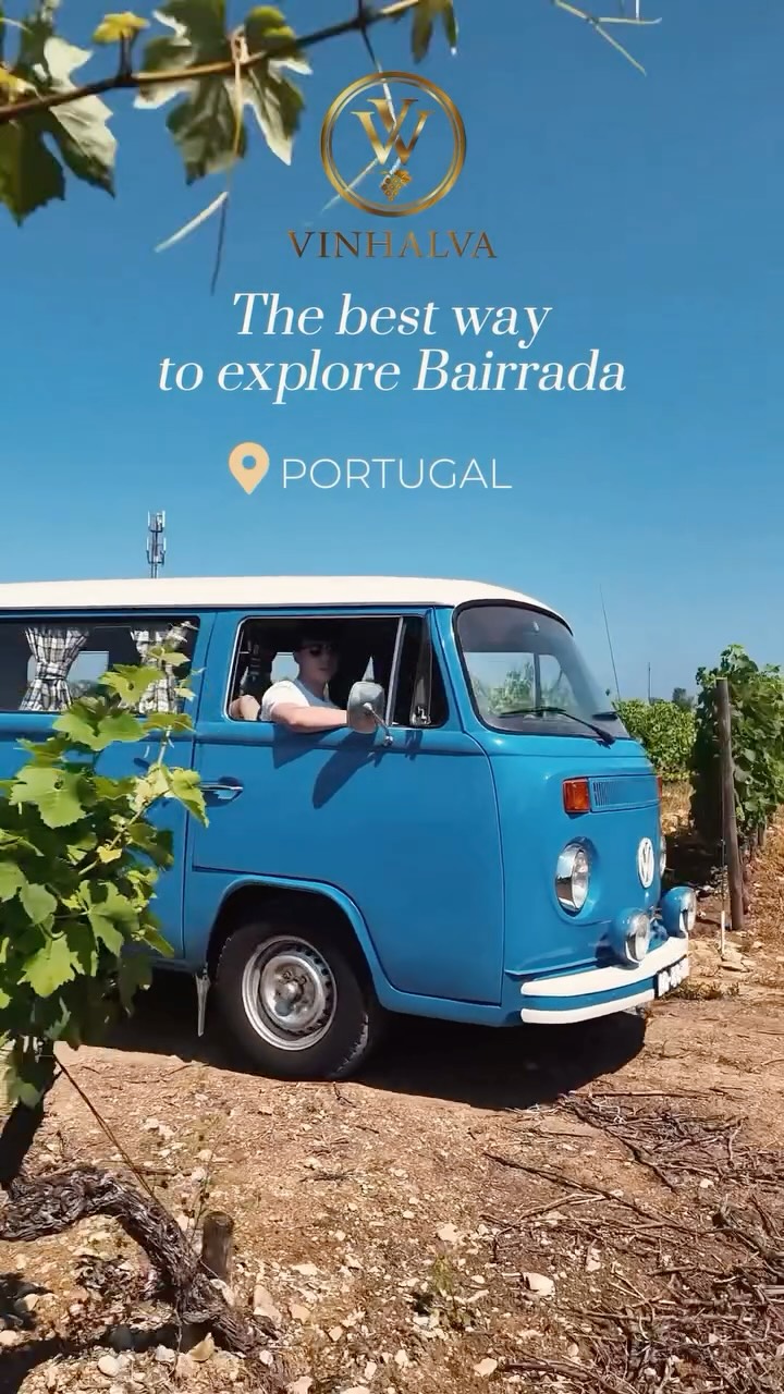 Anúncio de Vinhalva - Vinhas e Vintage