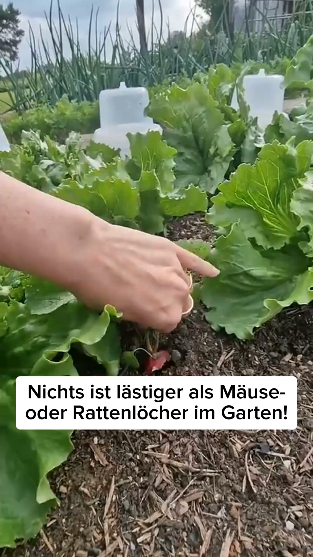 Über 16.000 glückliche Kunden