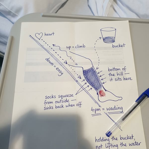 Everyone with Poor Circulation needs to see this