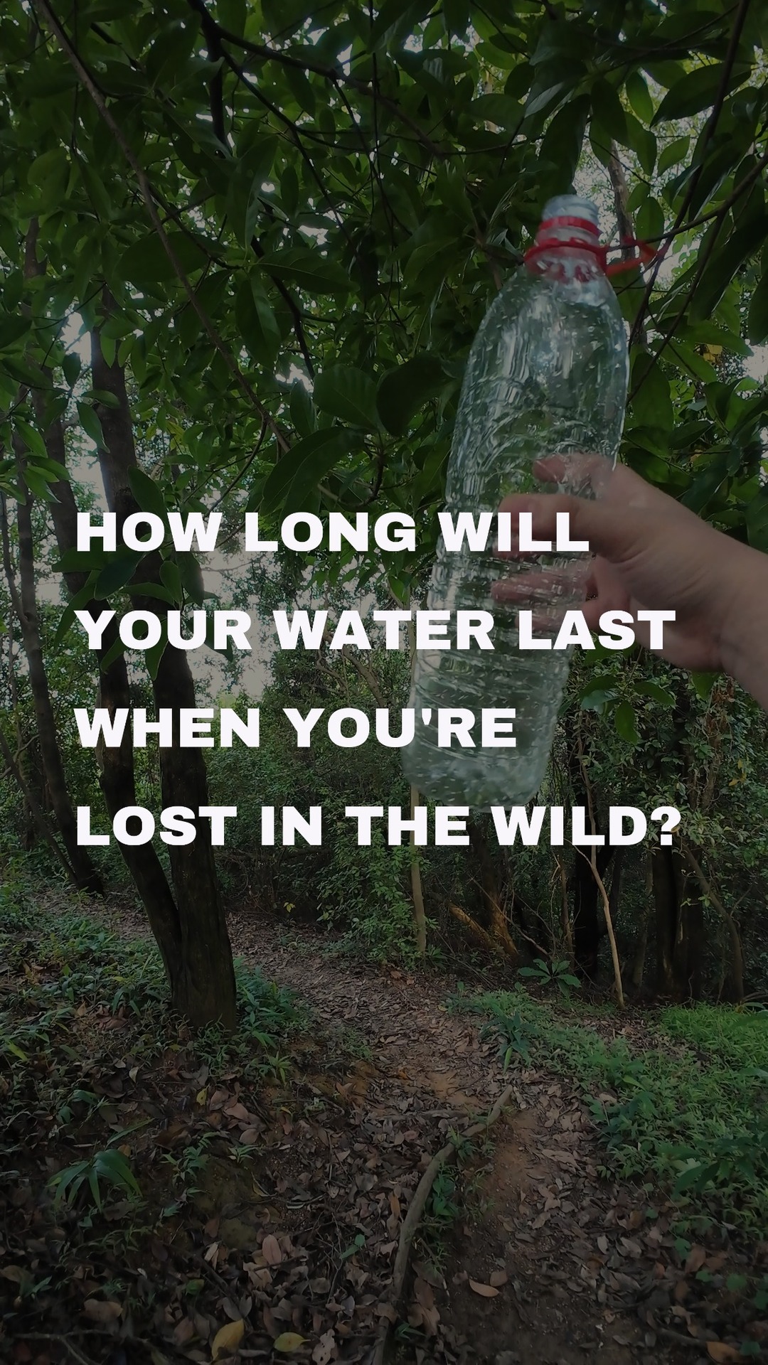 Turn Any Creek into Safe Drinking Water