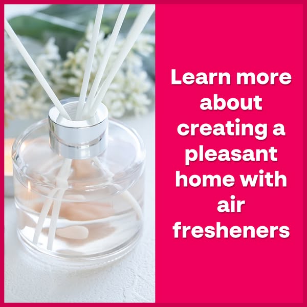 Learn more about creating a pleasant home with air fresheners