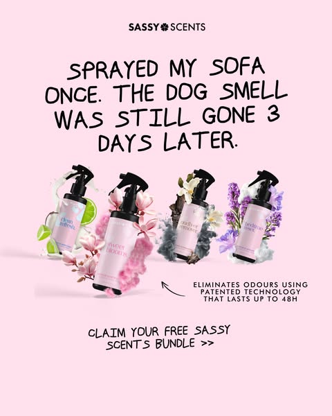 My secret to a smell free home