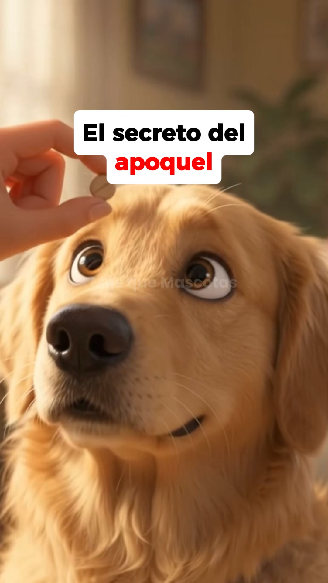 Esto es lo que uso