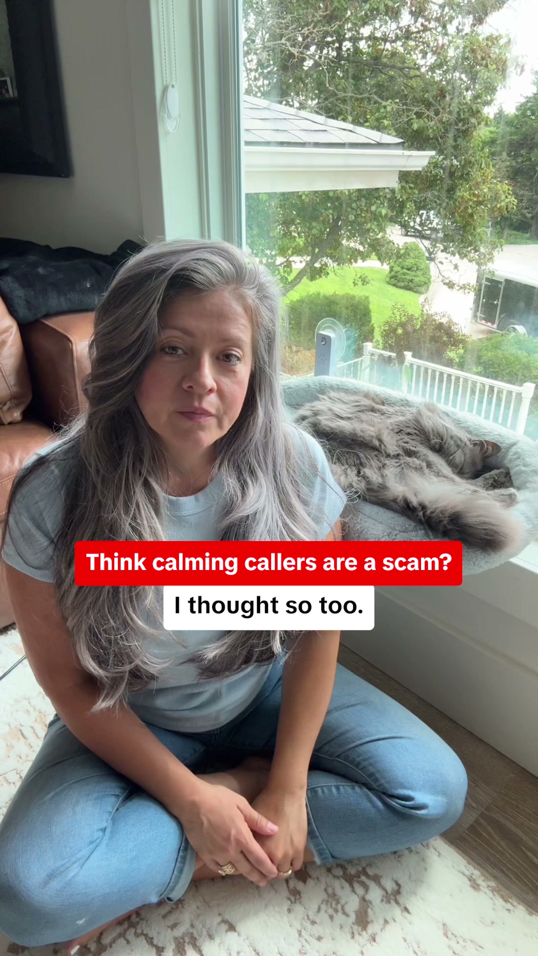 The Most Trusted Calming Collar for Cats