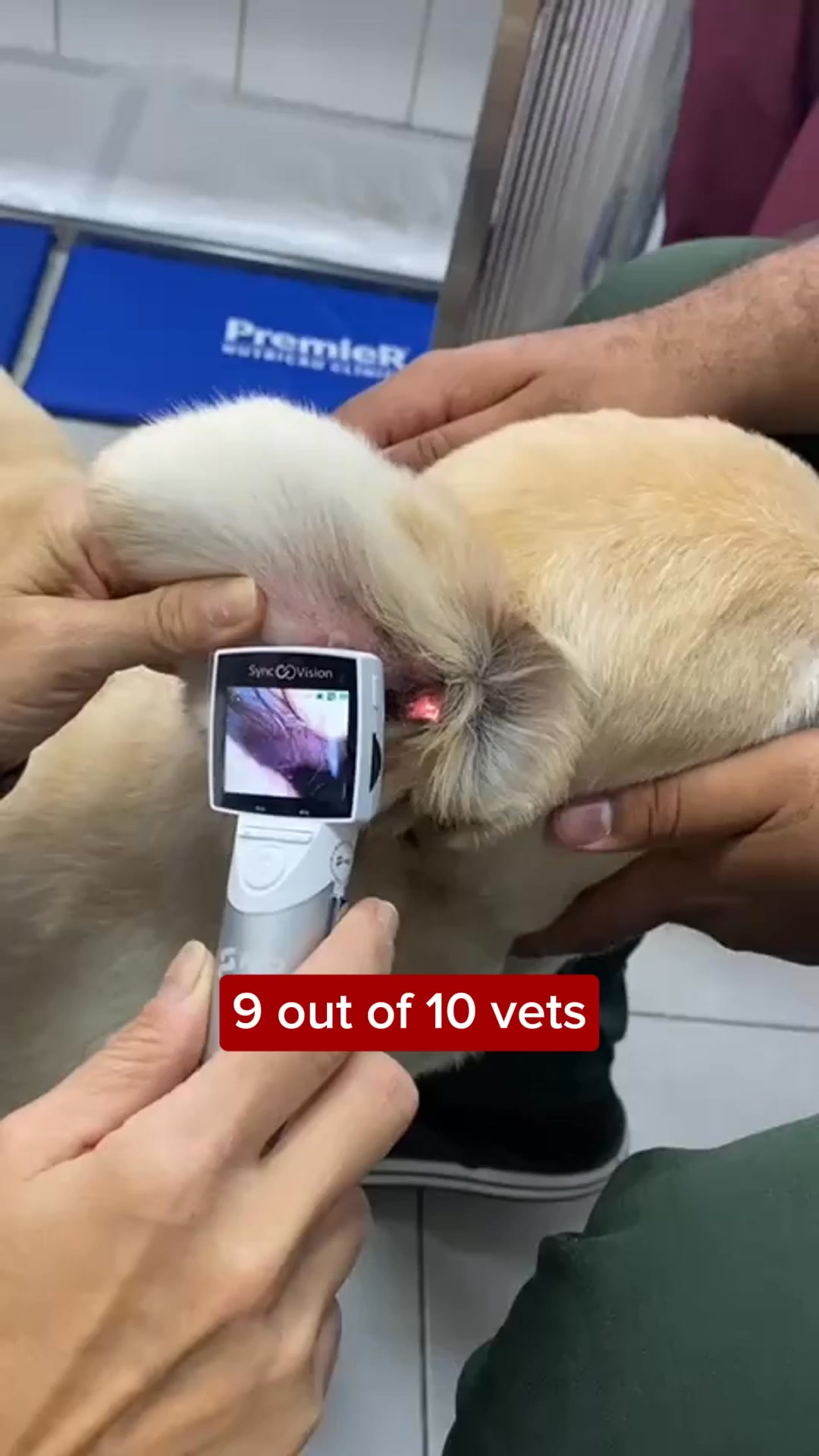 #1 Treat for Itchy Skin