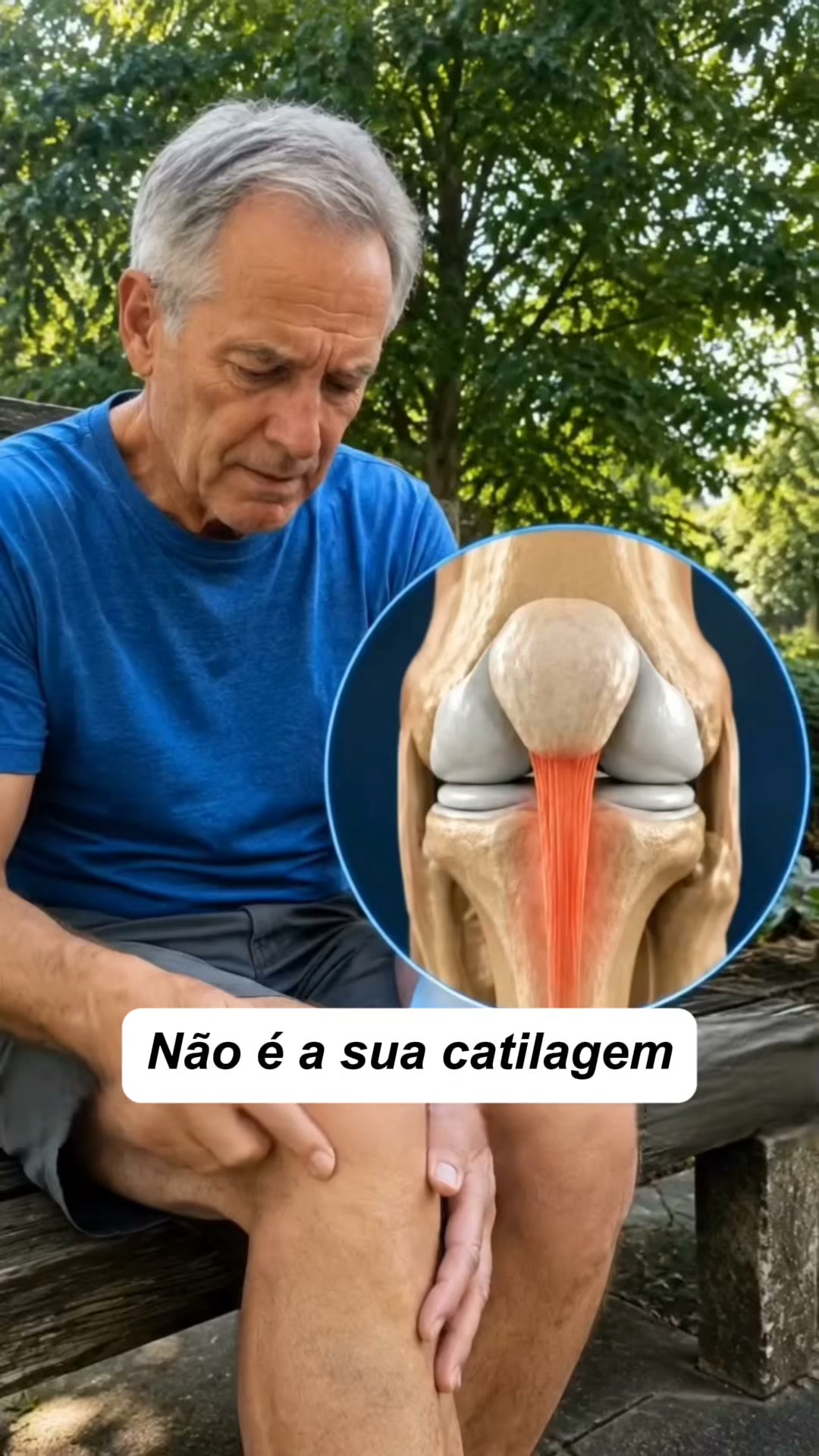Patefix