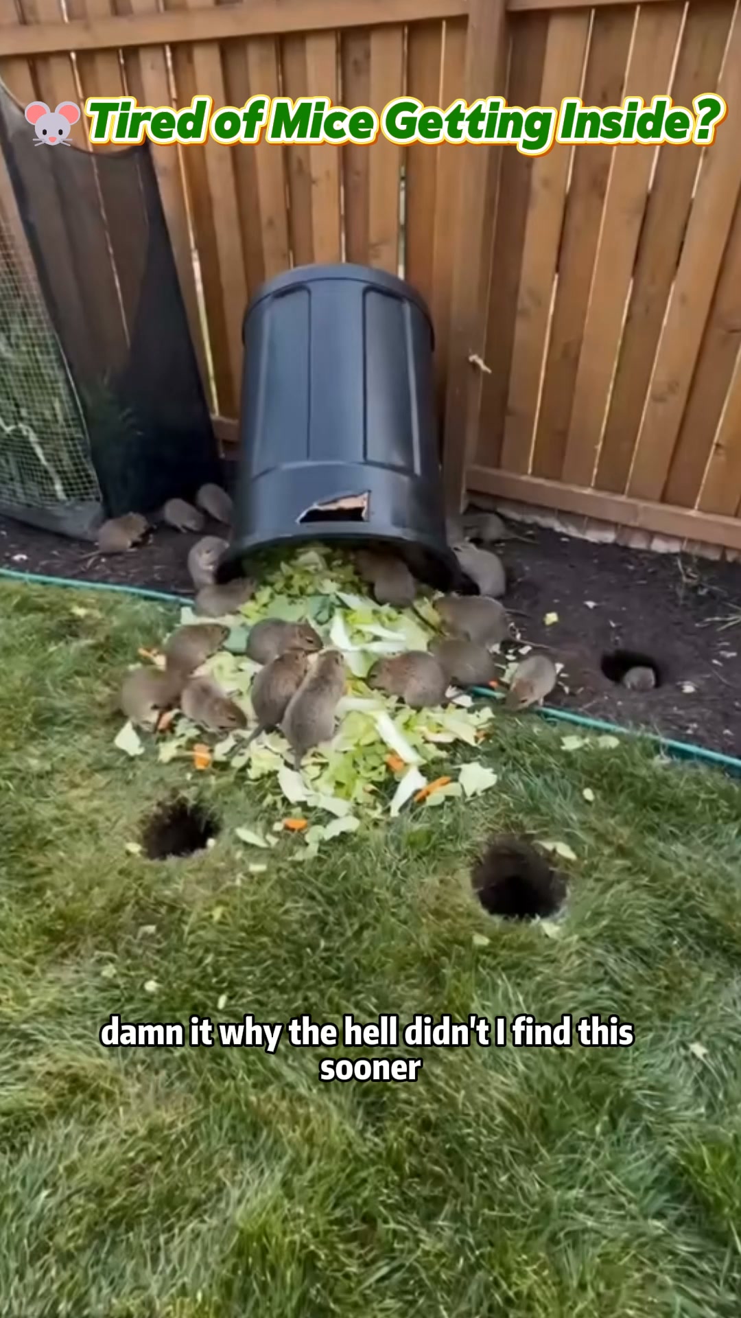 Keep Unwanted Rodents Away