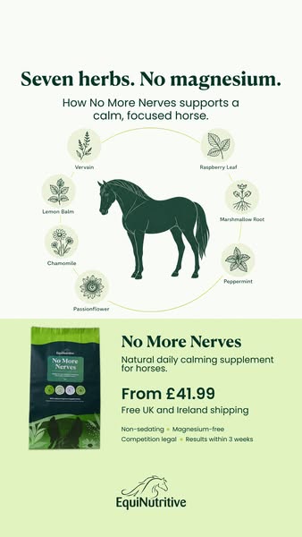 Daily Calm. From £41.99.