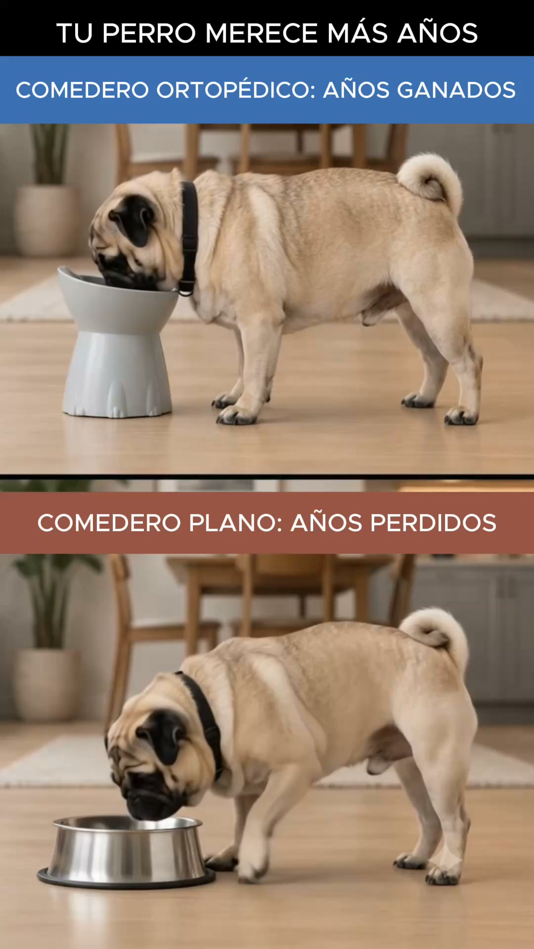 Comedero Elevado Inclinado