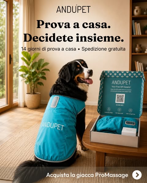 Prova a casa. Decidete insieme.