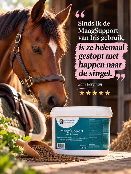 Ondersteun van binnenuit