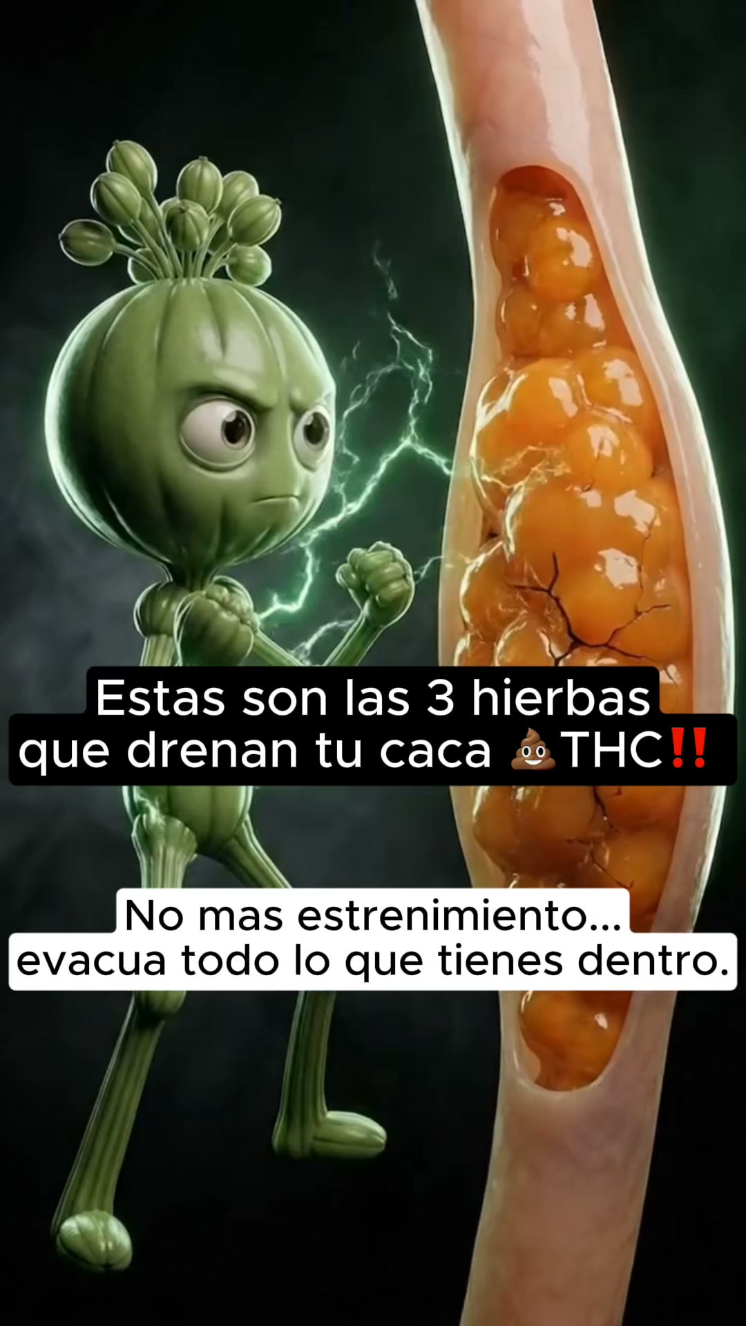¡Stock Limitado!