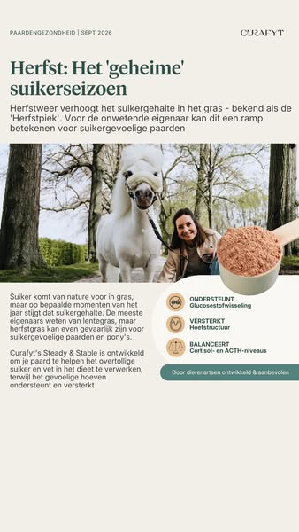 Ontwikkeld door dierenartsen voor paarden met gevoelige hoeven