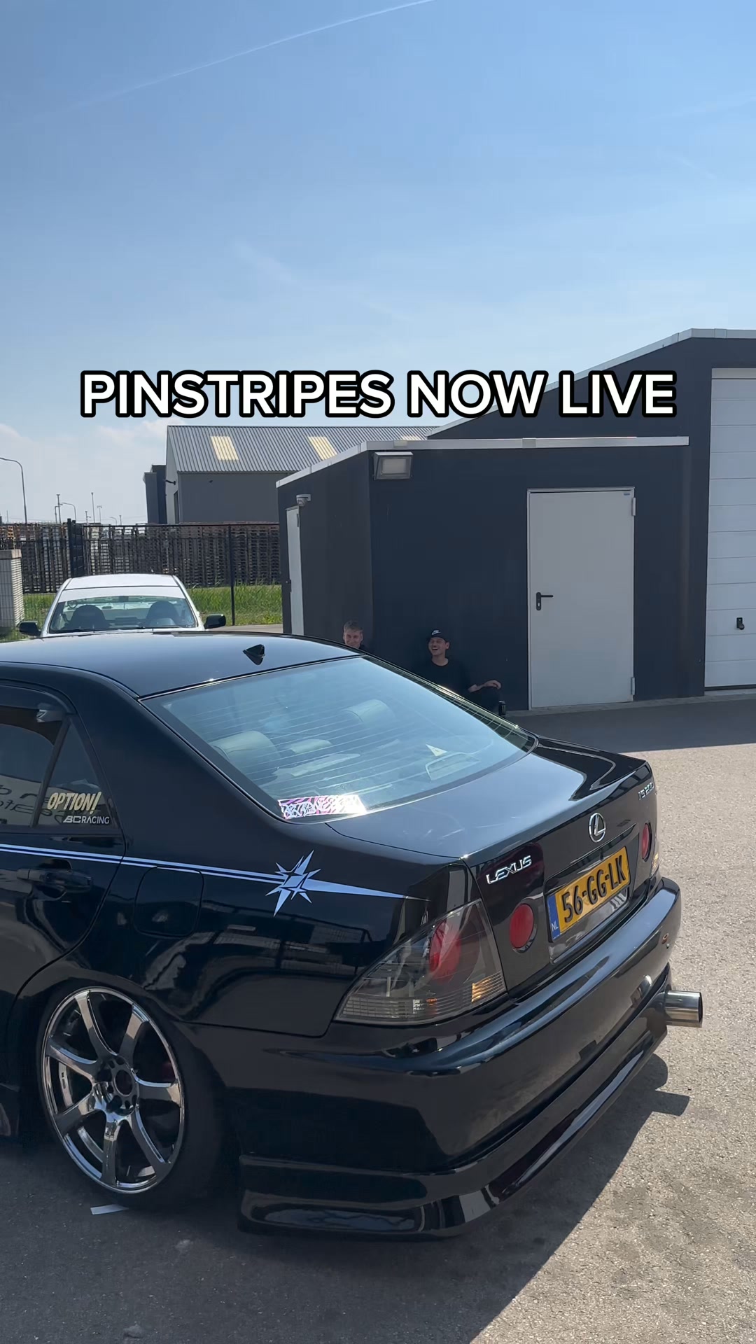 Vinyl Pinstripe
