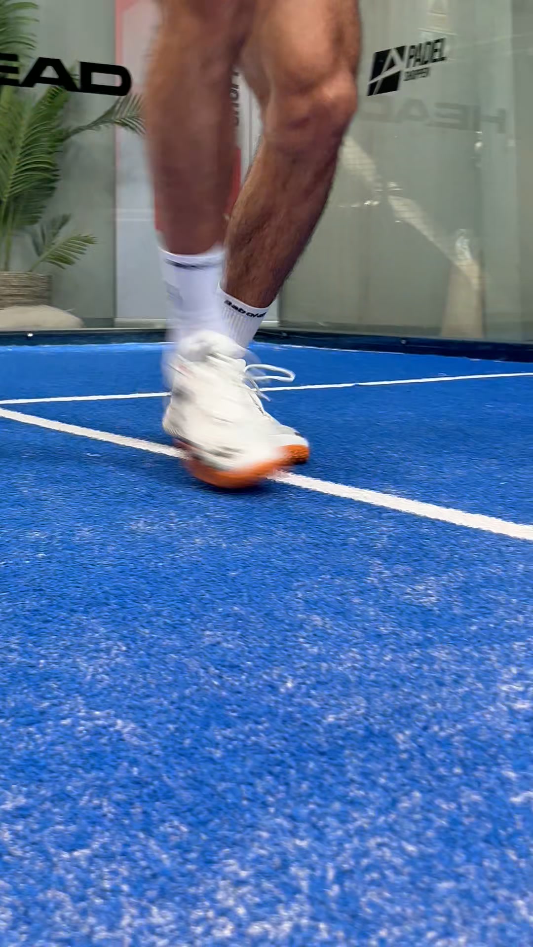 Babolat Premura 3
