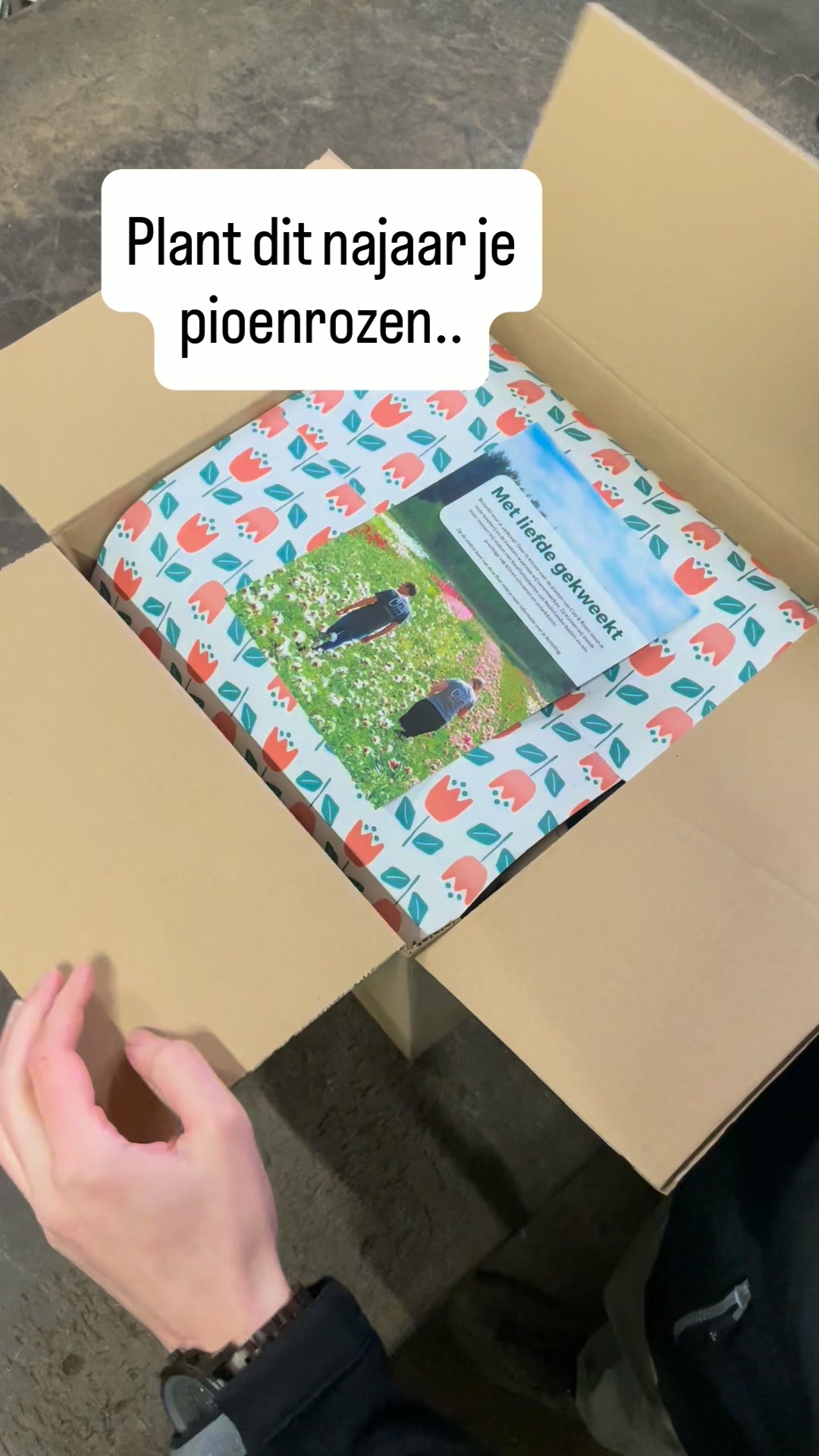 Shop nu met 10% korting!