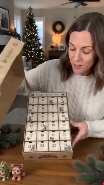 Yorkshire Terrier Advent Calendar