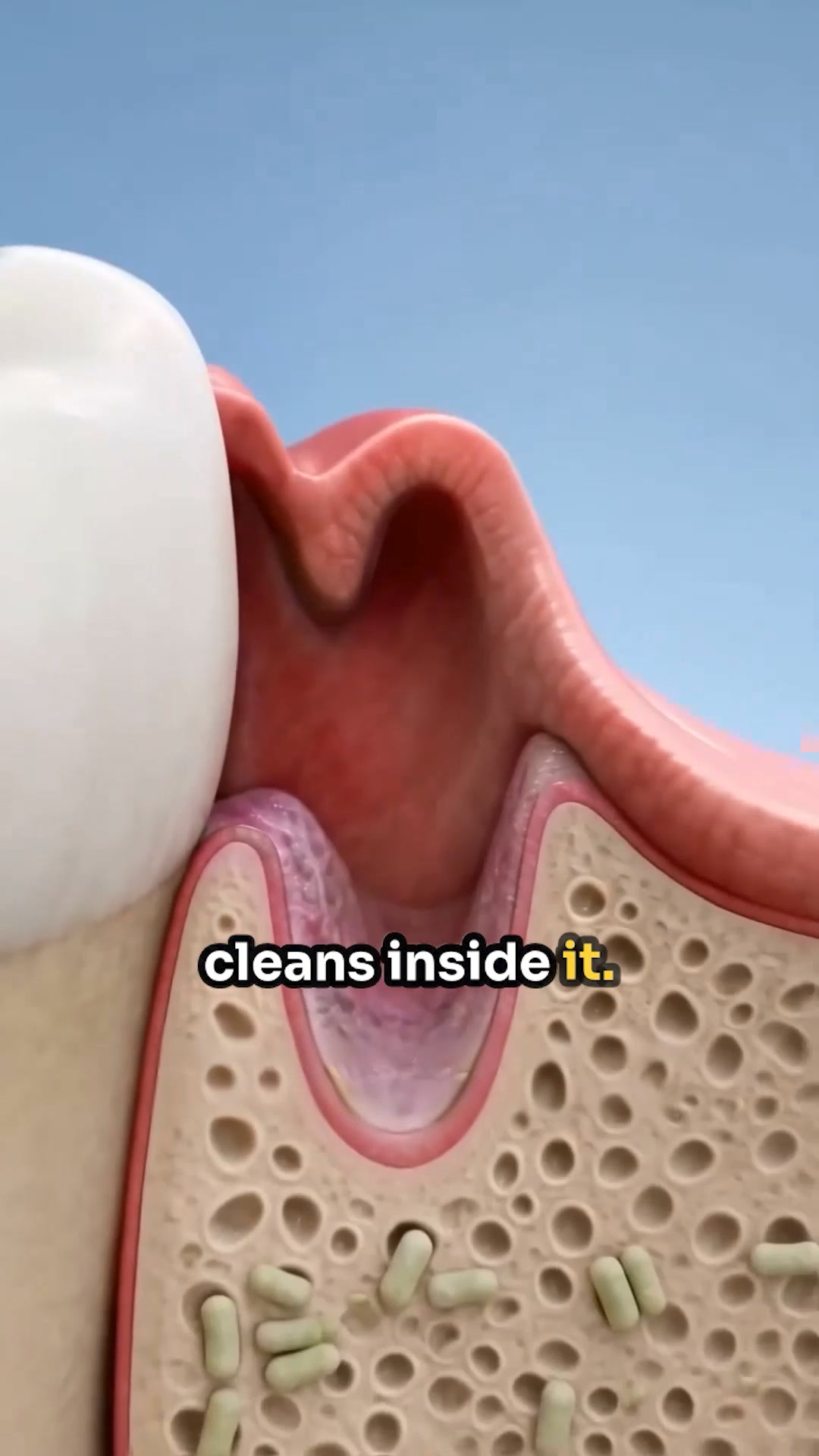 Your mouth belongs in the conversation