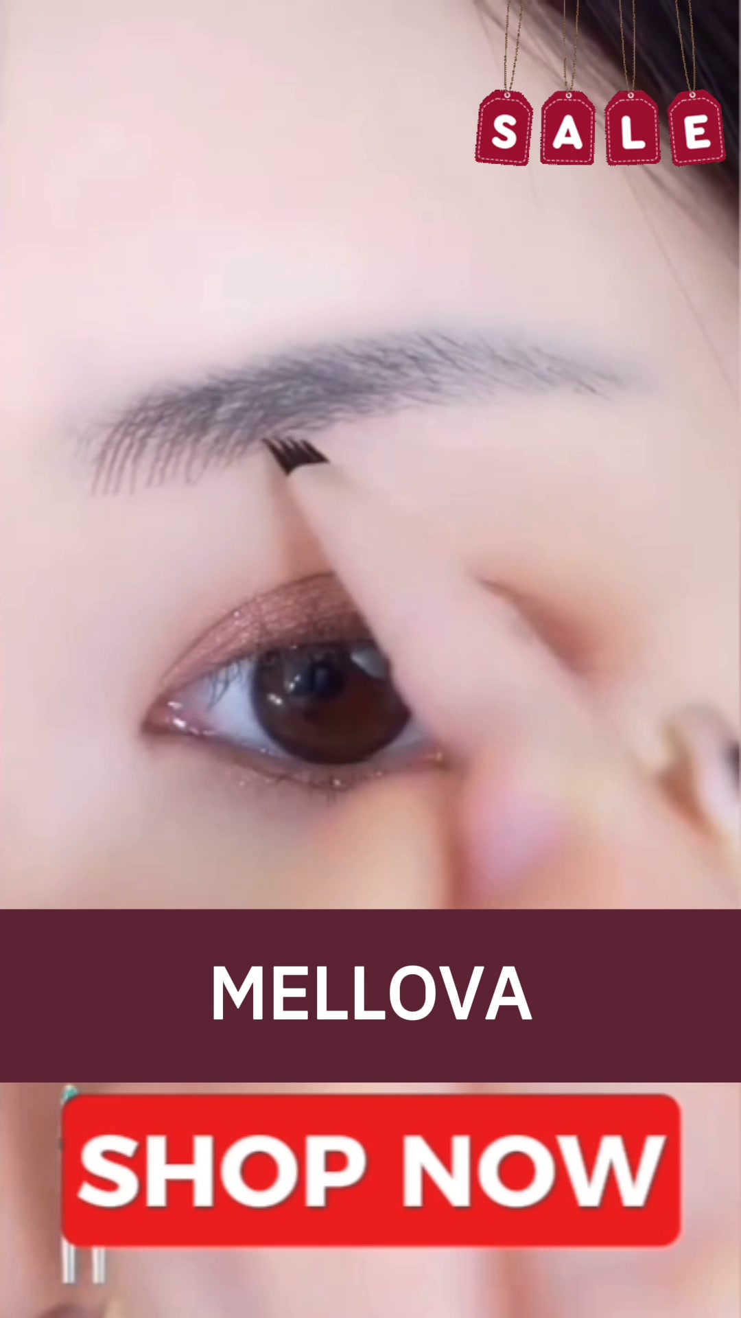 Better Brows. Easier Mornings.