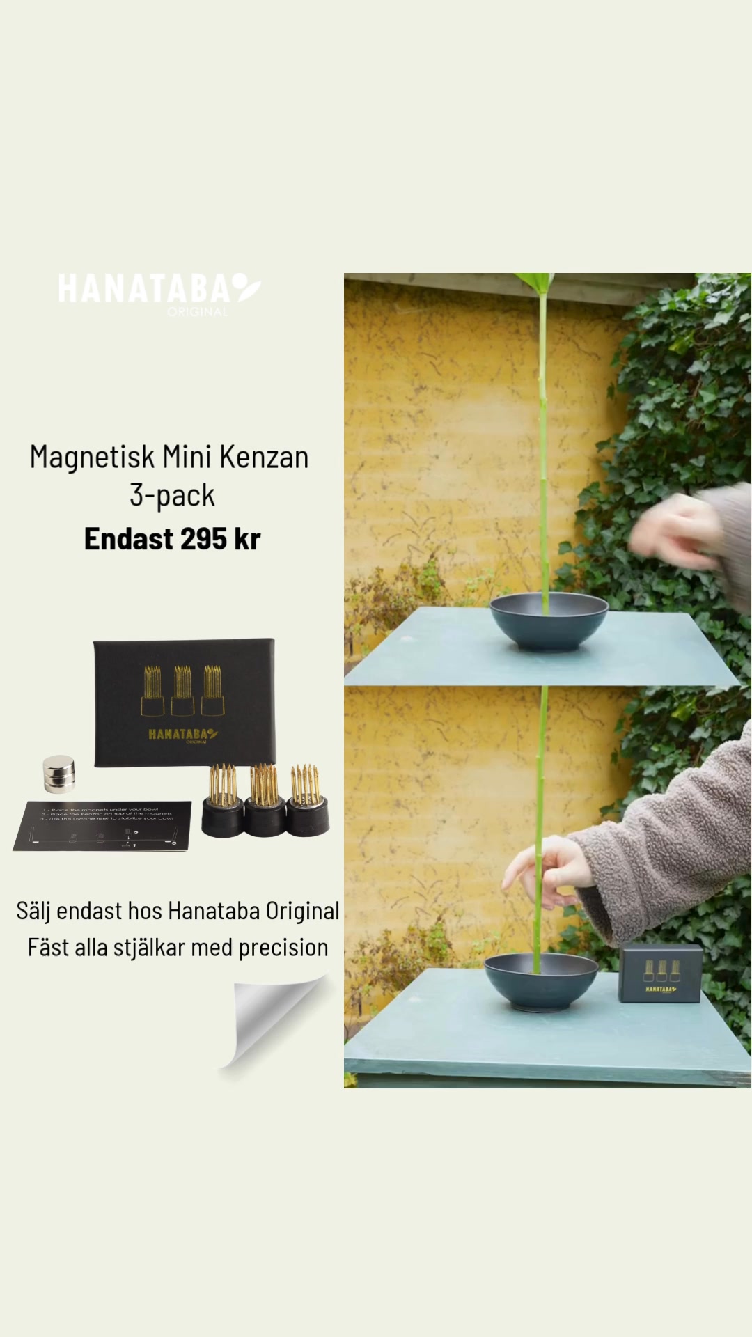Världens första magnetiska blomsterfakir är här!