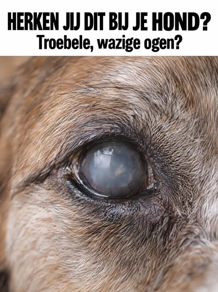 Je ziet het elke dag en hoopt dat het niet erger wordt.