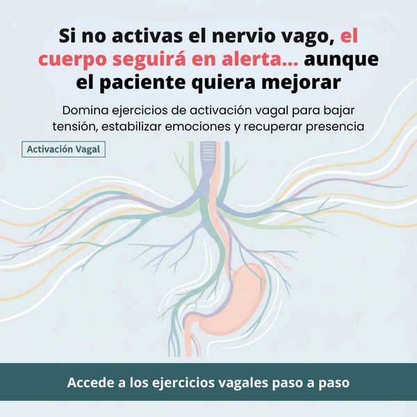 +90 Protocolos Somáticos