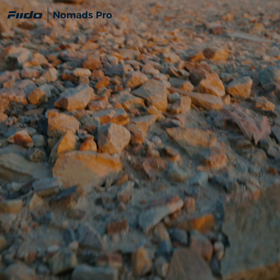 Fiido Nomads Pro