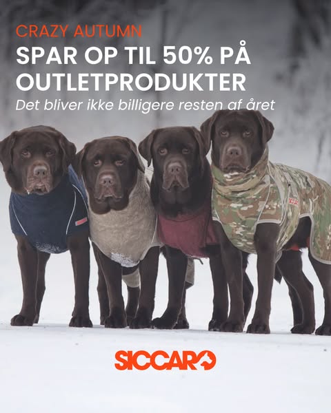 CRAZY AUTUMN: Spar op til 50% på Siccaro.dk