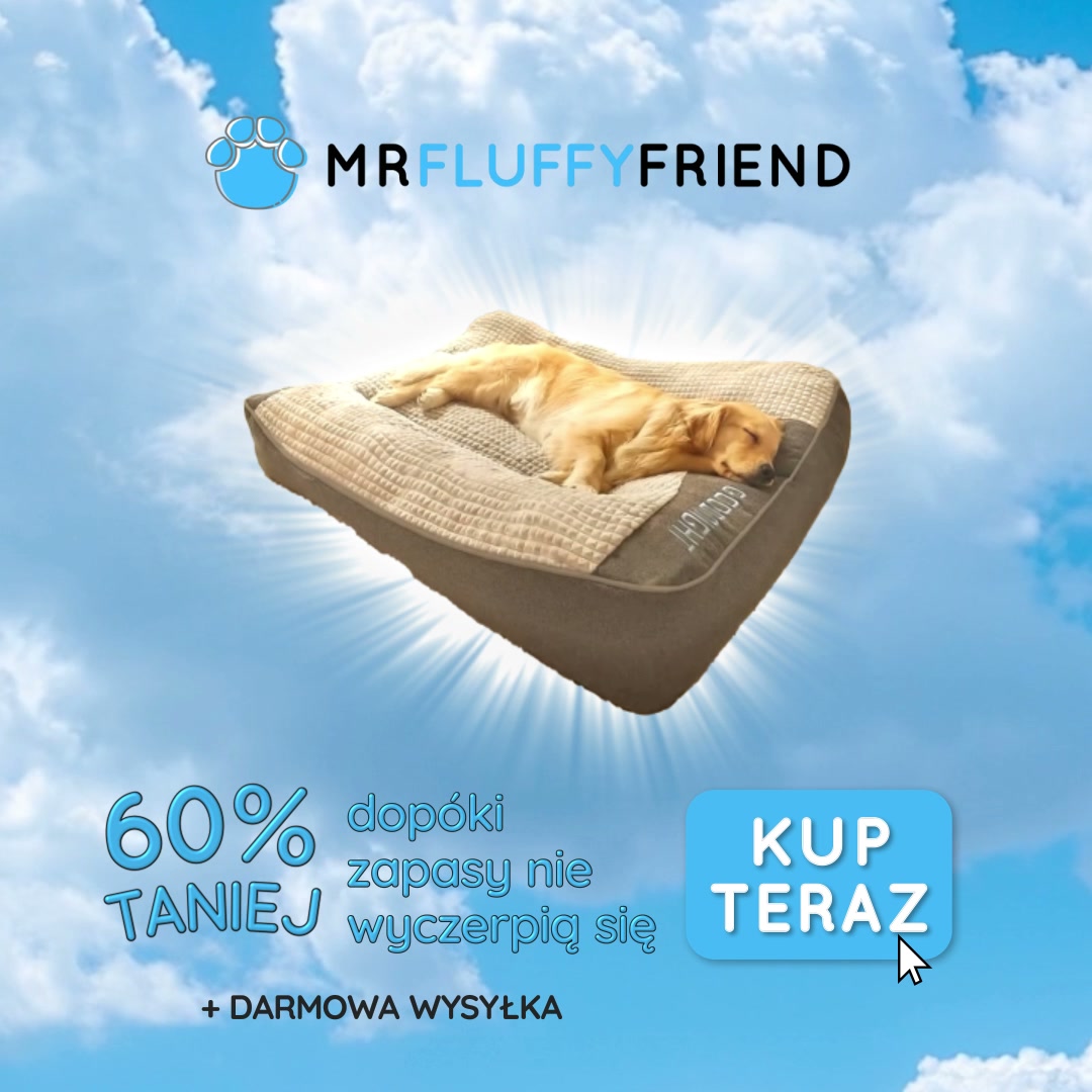 Ostatnie sztuki: -60% i darmowa dostawa