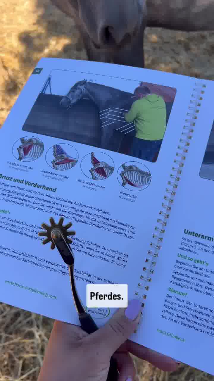 Faszientraining für Dein Pferd